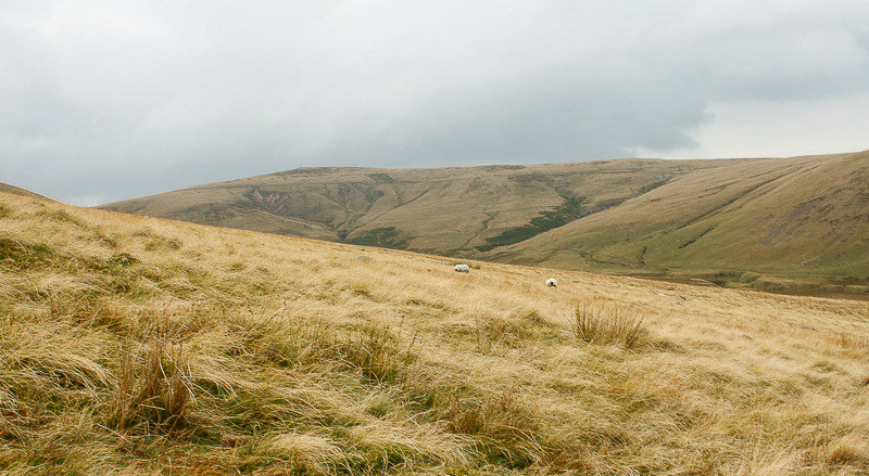 High Pike High Pike